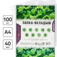 Файл - вкладыш Calligrata, А4, 40 мкм, глянцевый, вертикальный, 100 штук