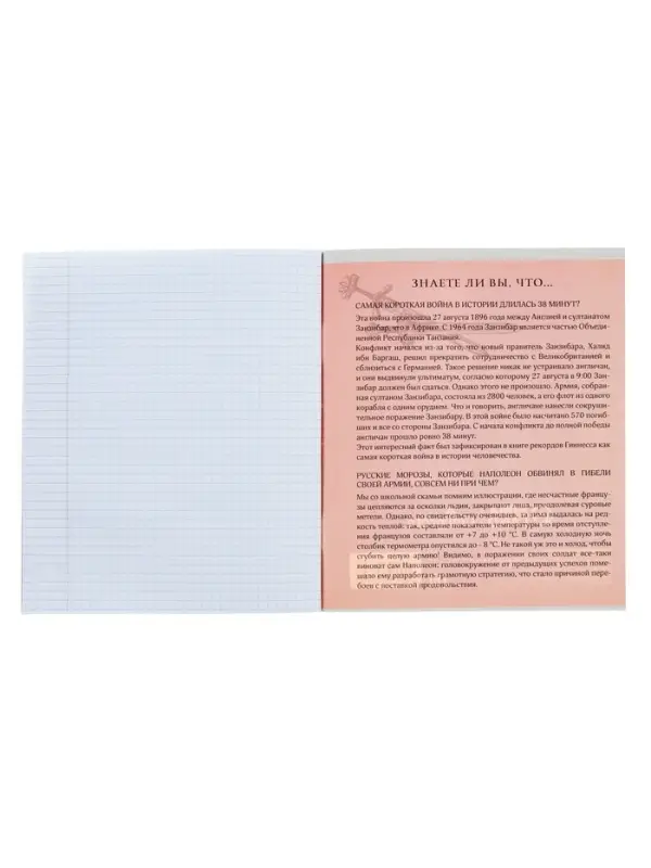 Предметная тетрадь по истории Calligrata &laquo;Пиксели&raquo;, 36 листов, в клетку, со справочным материалом, обложка из мелованного картона