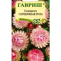 Семена цветов Гелихризум Серебряная роза* 0,01 г DH