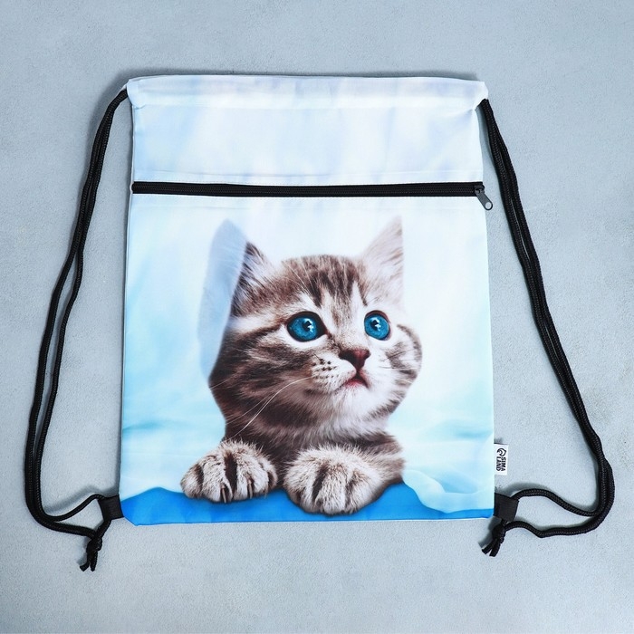 Мешок для обуви «Милый котик» 2 секции, 30×40 см Мешок для обуви «Милый котик» 2 секции, 30×40 см