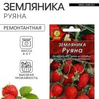 Семена Земляника &laquo;Руяна&raquo;, альпийская, 0.04 г, &laquo;Аэлита&raquo;