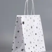 Пакеты подарочные крафт &laquo;С Днем Рождения&raquo;, 22&times;12&times;25 см, набор 4 шт.