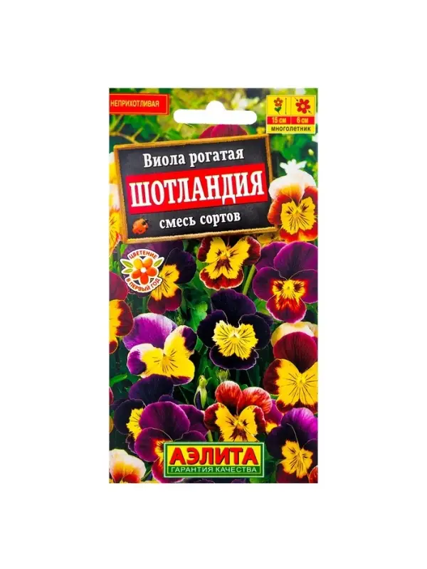 Набор семян Виола Набор семян Виола "Шотландия", 5 шт.