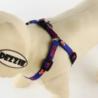Комплект Super Dog, шлейка 26-39 см, поводок 120х1 см