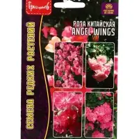 Семена цветов Роза Angel Wings китайская 7шт.  АКЦИЯ !!!  12.28 г.