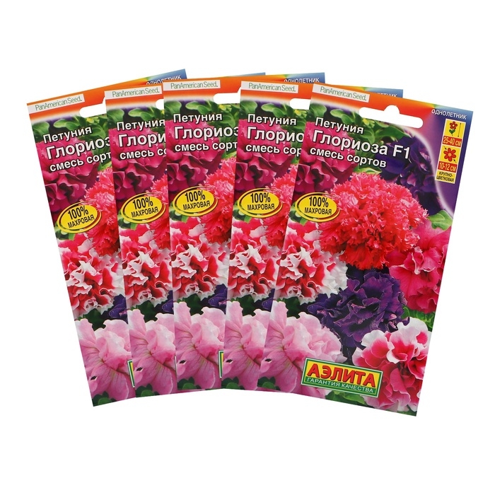 Семена Петуния Глориоза F1 крупноцветковая махровая,набор 5 шт Семена Петуния Глориоза F1 крупноцветковая махровая,набор 5 шт