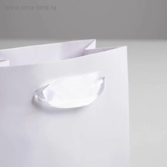 Пакет подарочный, упаковка «Белый», 12×15×5.5 см