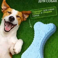 Плавающая игрушка для собак Пижон Premium &laquo;Лапки&raquo;, 10.5&times;5.5&times;2 см, вспененный TPR, голубая