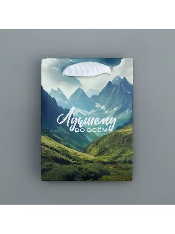 Пакет подарочный ламинированный, упаковка, «Лучшему во всём», 9 х 12 х 6.5 см