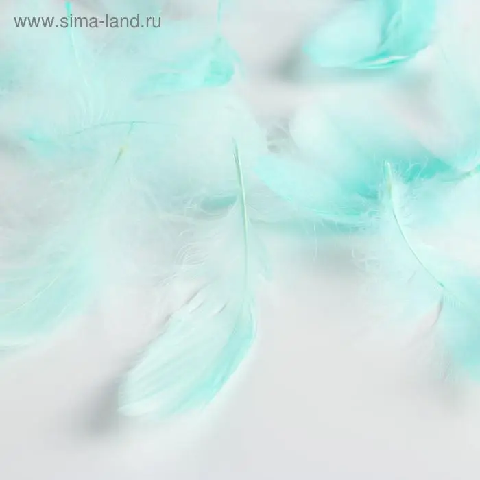 Наполнитель из перьев для шаров и подарков, упаковка, «Мечтания» , 15 х 11 см Наполнитель из перьев для шаров и подарков, упаковка, «Мечтания» , 15 х 11 см