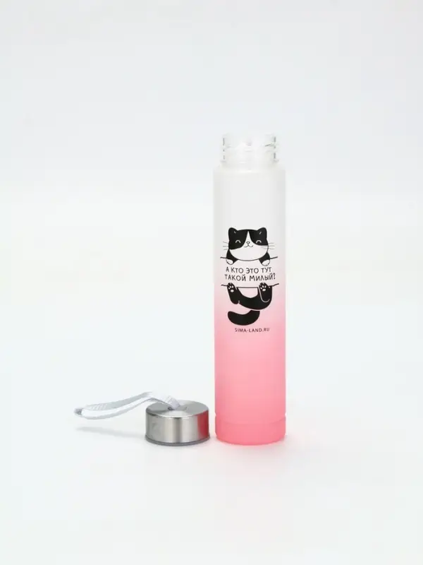 Бутылка для воды «Котя», 300 мл