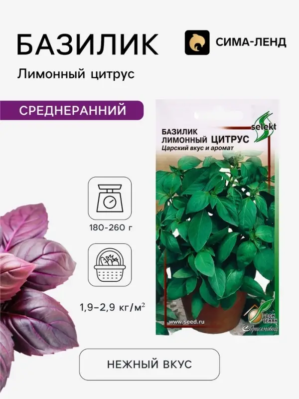 Семена Базилик &laquo;Лимонный Цитрус&raquo;, 130 шт., &laquo;Дом семян&raquo;