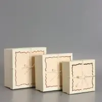 Наборок коробок 3 в 1 прямоугольные 19*19*9.8 17*17*8.0 15*15*6.5 см