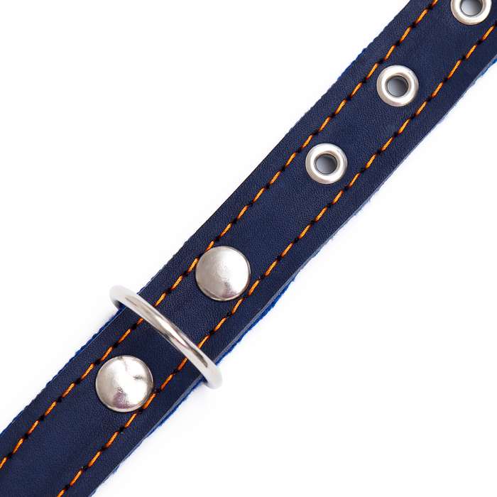 Ошейник комбинированный кожа/брезент, безразмерный, 56 х 2,5 см, ОШ 25-51 см, синий Ошейник комбинированный кожа/брезент, безразмерный, 56 х 2,5 см, ОШ 25-51 см, синий