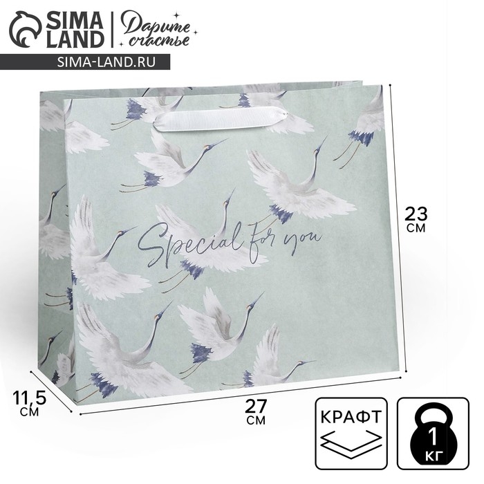 Пакет подарочный крафтовый горизонтальный, упаковка, Special for you, 27 х 23 х 11,5 см Пакет подарочный крафтовый горизонтальный, упаковка, Special for you, 27 х 23 х 11,5 см