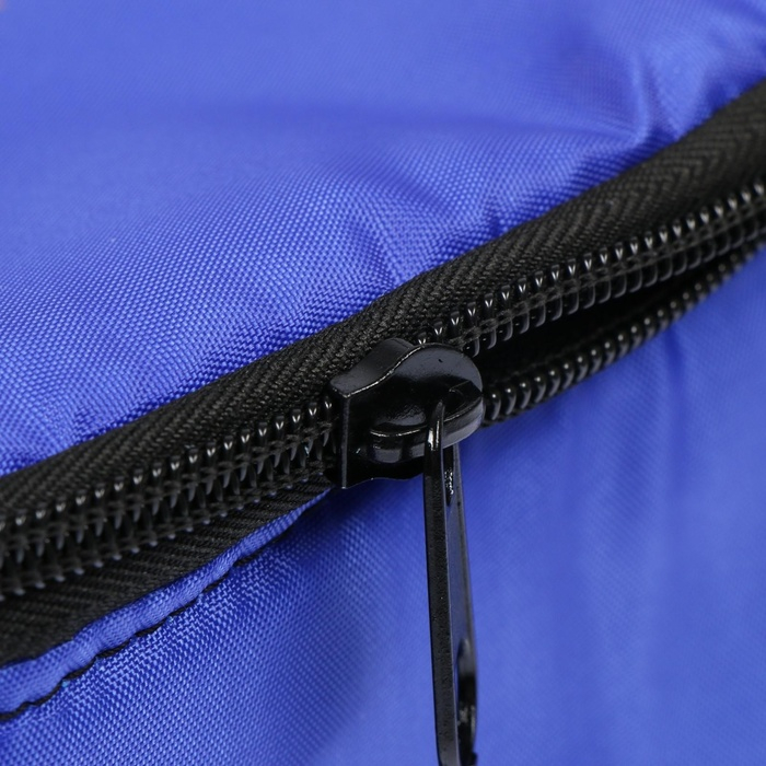 Термосумка Cartage Т-12, синяя, 18 л, 35х21х24 см Термосумка Cartage Т-12, синяя, 18 л, 35х21х24 см