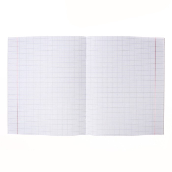 Тетрадь 40 листов в клетку Тетрадь 40 листов в клетку "Девочка-кошка", обложка мелованный картон, блок офсет 65г/м2, МИКС