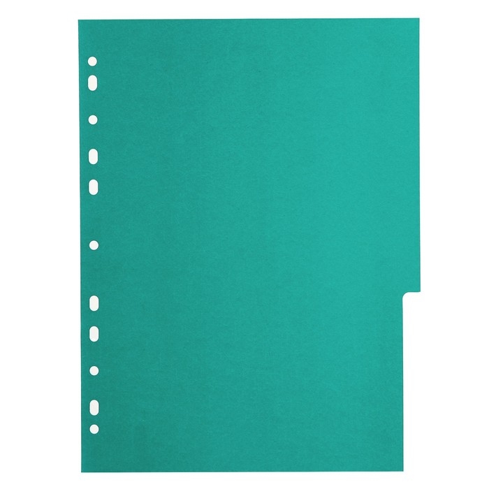 Набор разделителей листов А4 Office-2000, 10 листов без индексации, цветные, пластик 120 мкм Набор разделителей листов А4 Office-2000, 10 листов без индексации, цветные, пластик 120 мкм