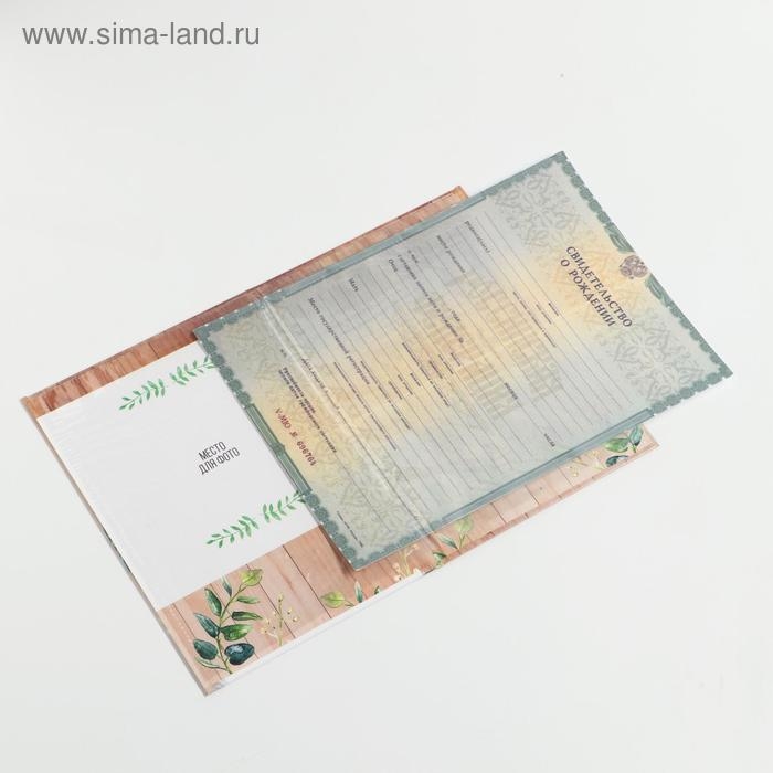 Папка для свидетельства о рождении «Миша», А5