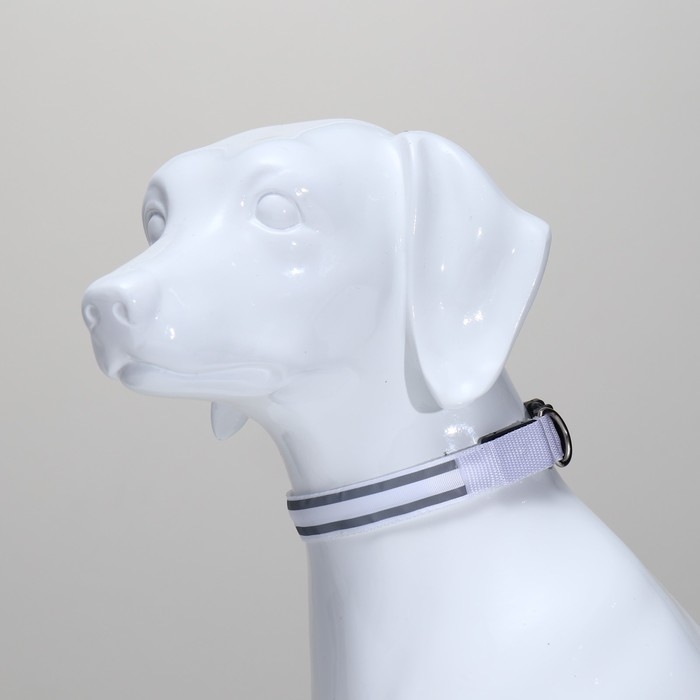 Ошейник с подсветкой Двойная полоса размер М, ОШ 40-48 х 2,5 см, 3 режима свечения белый Ошейник с подсветкой Двойная полоса размер М, ОШ 40-48 х 2,5 см, 3 режима свечения белый