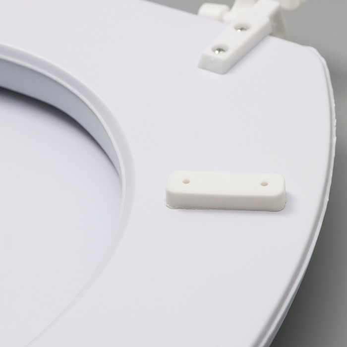 Сиденье для унитаза с крышкой Доляна «Пляж со звездой», 40×37 см, мягкое Сиденье для унитаза с крышкой Доляна «Пляж со звездой», 40×37 см, мягкое