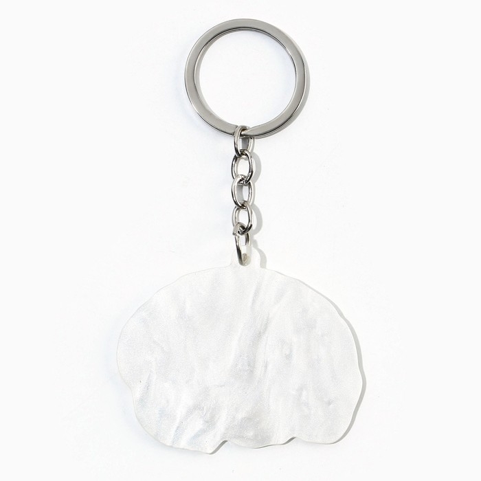 Брелок для ключей акриловый «Выношу мозг», 5 х 6 см