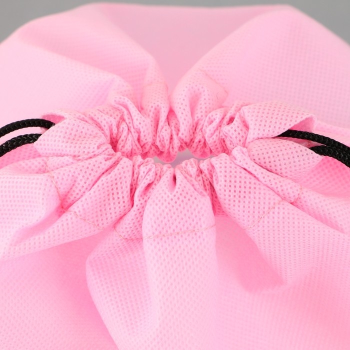 Мешок для обуви «Время котиков» нетканное полотно, размер 30 х 40 см Мешок для обуви «Время котиков» нетканное полотно, размер 30 х 40 см