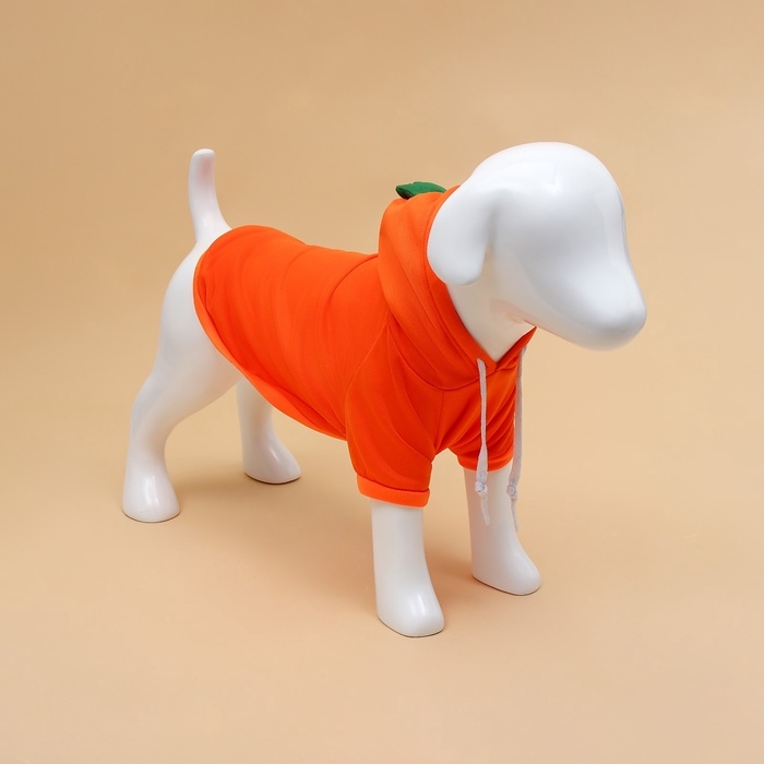 Толстовка Толстовка "Любимая морковка", размер XL (ДС 40, ОГ 56 см)