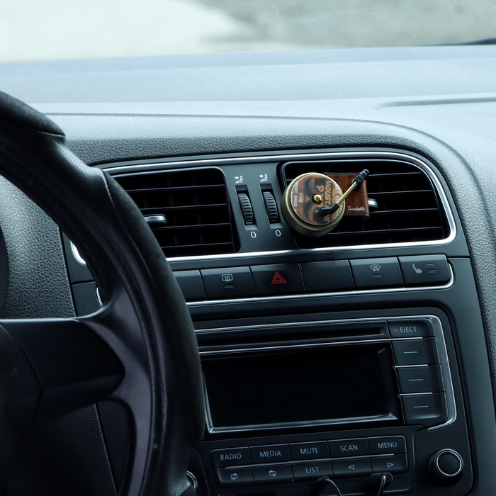 Ароматизатор в машину, Винил, три аромата Ароматизатор в машину, Винил, три аромата