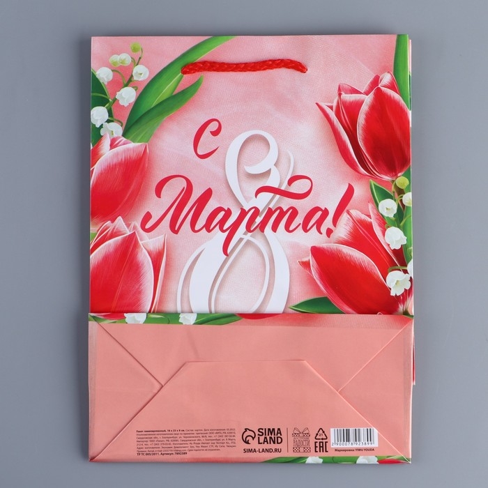 Пакет подарочный ламинированный горизонтальный, упаковка, «Краски весны», MS 18 х 23 х 8 см Пакет подарочный ламинированный горизонтальный, упаковка, «Краски весны», MS 18 х 23 х 8 см