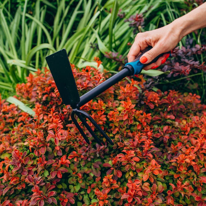 Мотыжка комбинированная Greengo, длина 30 см, 3 зубца, эргономичная прорезиненная ручка Мотыжка комбинированная Greengo, длина 30 см, 3 зубца, эргономичная прорезиненная ручка