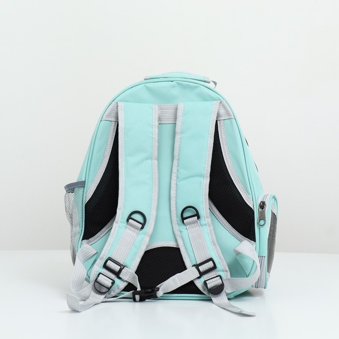 Рюкзак для переноски кошек и собак, с окном для обзора, зелёный Рюкзак для переноски кошек и собак, с окном для обзора, зелёный