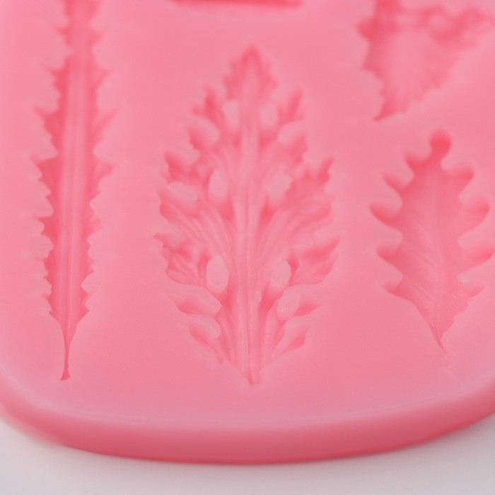 Молд Доляна «Гербарий», силикон, 9,5×8×0,8 см, цвет МИКС Молд Доляна «Гербарий», силикон, 9,5×8×0,8 см, цвет МИКС