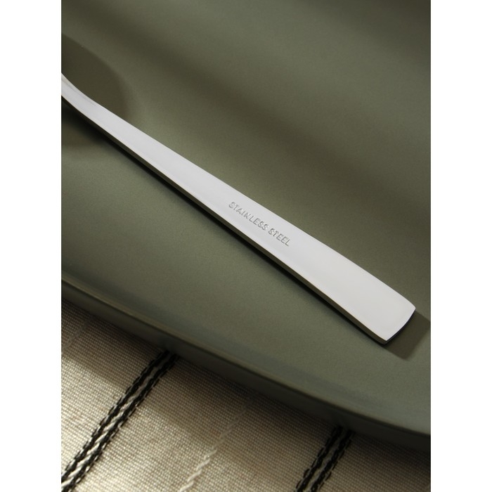 Ложка столовая из нержавеющей стали «Хоккайдо», длина 20,5 см, цвет серебряный Ложка столовая из нержавеющей стали «Хоккайдо», длина 20,5 см, цвет серебряный