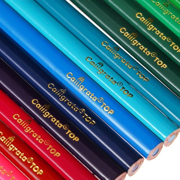 Карандаши 24 цветов TOP Calligrata, в картонной коробке, диаметр грифеля - 3мм, 5B