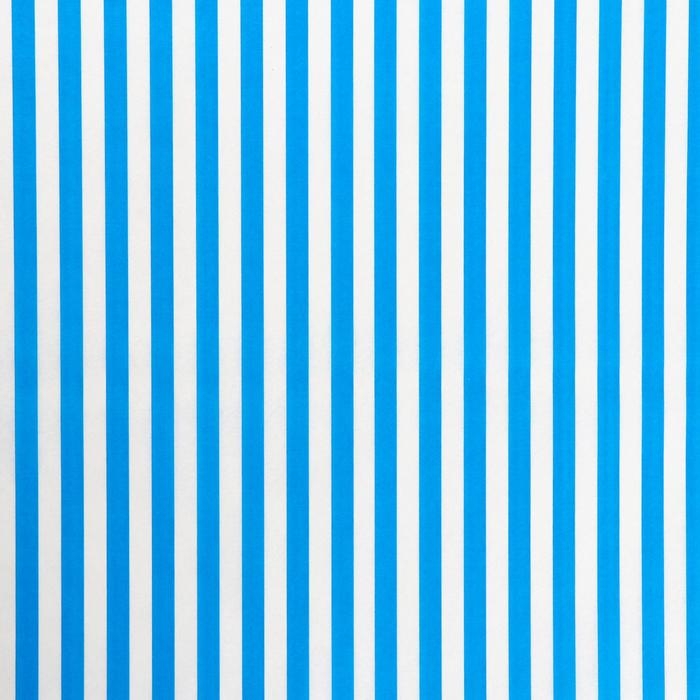 Бумага силиконизированная «Полоски», голубые, для выпечки, 0,38 х 5 м Бумага силиконизированная «Полоски», голубые, для выпечки, 0,38 х 5 м