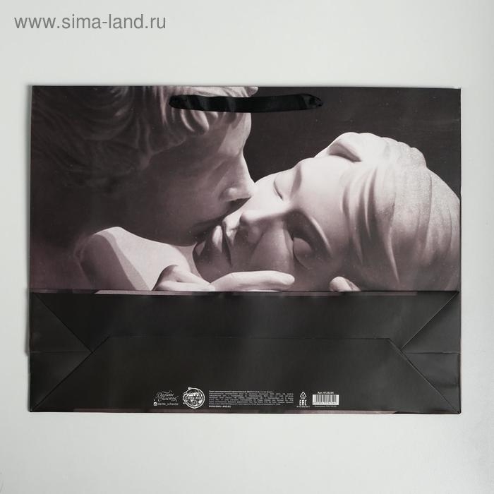 Пакет подарочный ламинированный горизонтальный, упаковка, &laquo;Love&raquo;, L 40 х 31 х 11,5 см