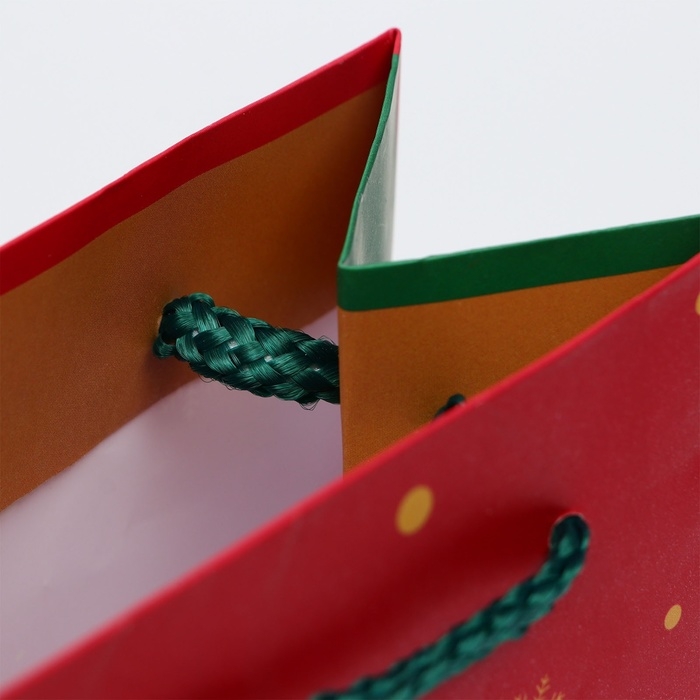 Новый год. Пакет подарочный новогодний под бутылку, упаковка  Новый год. Пакет подарочный новогодний под бутылку, упаковка "Ёлка", 12 х 36 х 8,5 см.