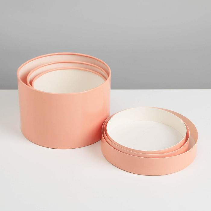 Набор шляпных коробок 3 в 1 пудровый, упаковка подарочная, 16 х 10, 14 х 9, 13 х 8,5 см Набор шляпных коробок 3 в 1 пудровый, упаковка подарочная, 16 х 10, 14 х 9, 13 х 8,5 см