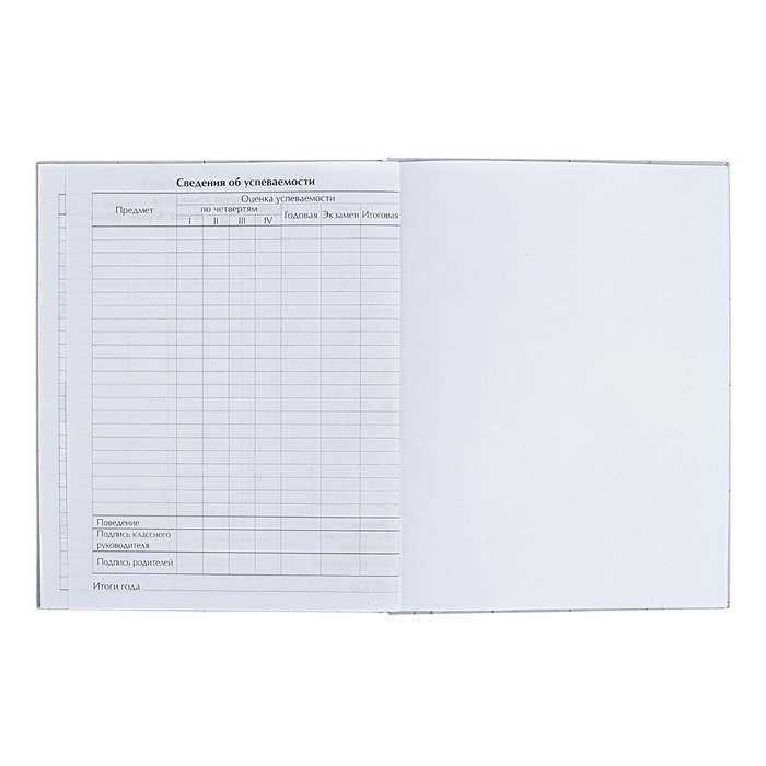 Дневник универсальный для 1-11 классов Дневник универсальный для 1-11 классов "Аниме. Парень и небо", твёрдая обложка, глянцевая ламинация, 40 листов