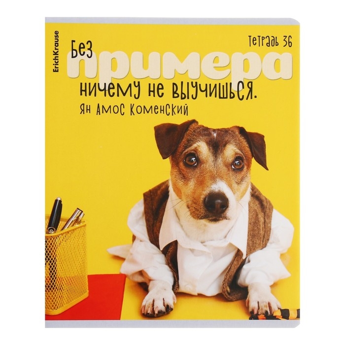 Тетрадь 36 листов в клетку, ErichKrause "Ученые собаки", обложка мелованный картон, блок офсет 100% белизна, МИКС