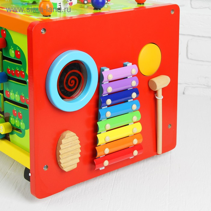 Развивающий центр с каталкой Развивающий центр с каталкой