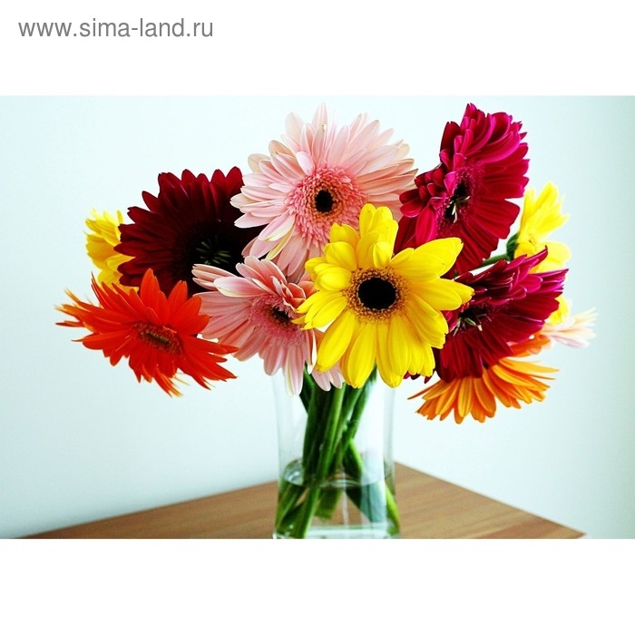 Проволока герберная, 1.2 мм, 1 кг Проволока герберная, 1.2 мм, 1 кг