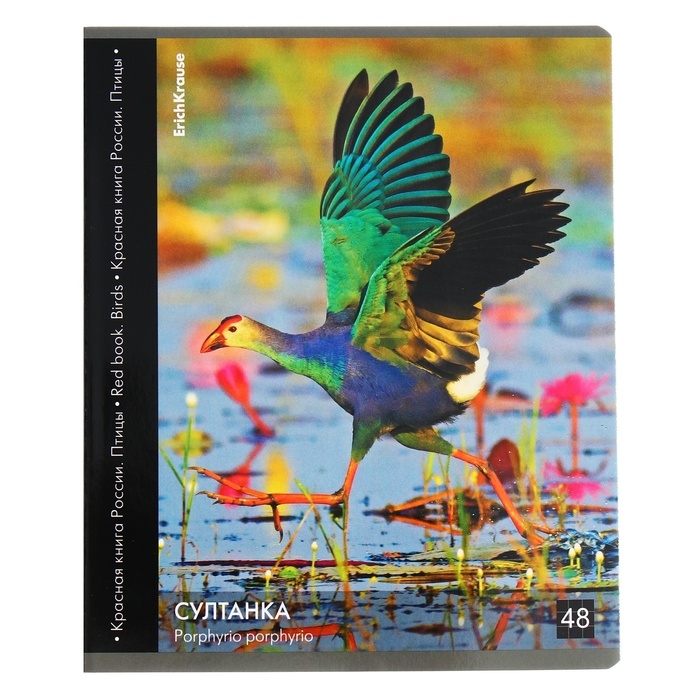 Тетрадь 48 листов в клетку, ErichKrause Тетрадь 48 листов в клетку, ErichKrause "Красная книга России. Птицы", обложка мелованный картон, глянцевая ламинация, блок офсет 100% белизна, МИКС