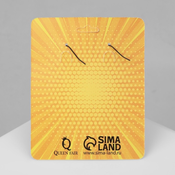 Серьги ассорти «Магнитофон» на цепочках, цвет чёрно-серебряный Серьги ассорти «Магнитофон» на цепочках, цвет чёрно-серебряный