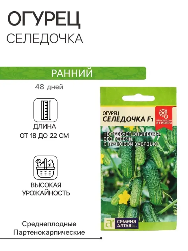 Семена Огурец &laquo;Селедочка&raquo;, F1, 5 шт., &laquo;Семена Алтая&raquo;