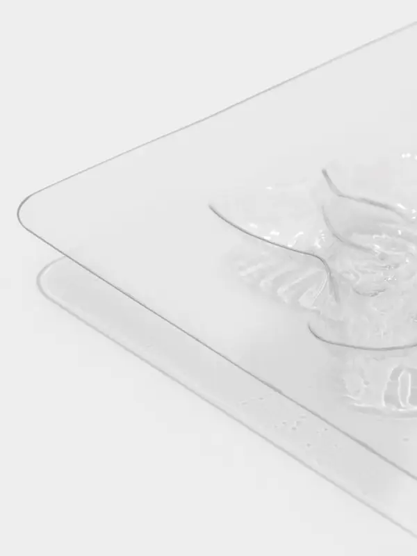 Форма для шоколада и конфет &laquo;Пони&raquo;, 5 ячеек, 24&times;18.5&times;1 см, пластик, прозрачная