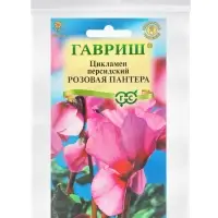 Набор семян Цикламен персидский, розовый, 3 шт.
