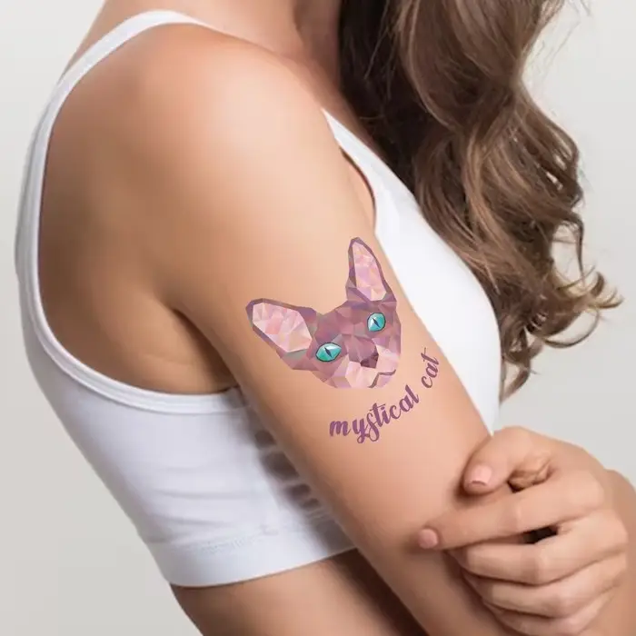 Переводная тату на тело цветная «Сфинкс и енот», двойная, 10.5×6 см