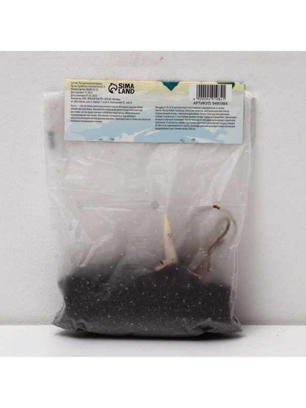 Хоста Fragrant Bouquet, корневище в пакете с торфогрунтом, р-р I, размер ML,1 шт.